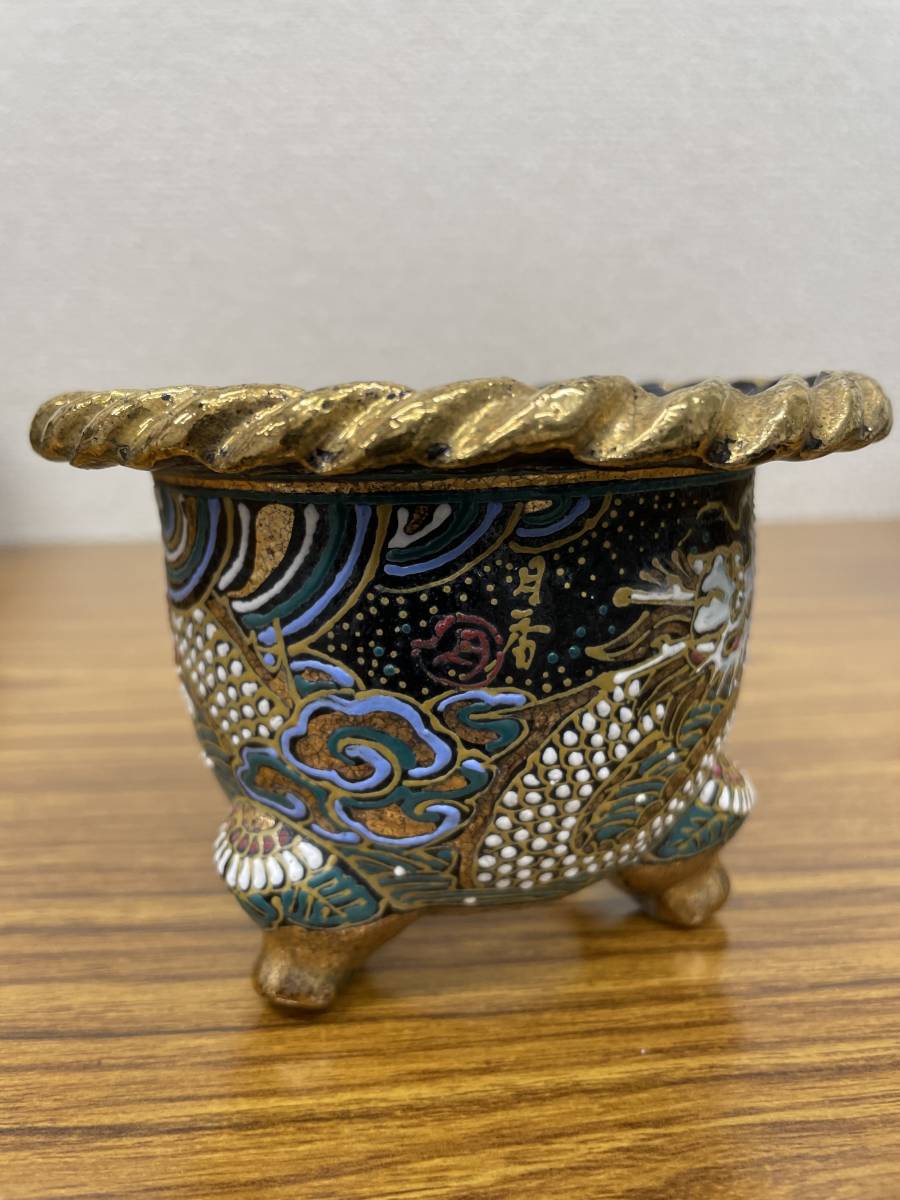 富貴蘭鉢 花、園芸 ラン 【公式通販】