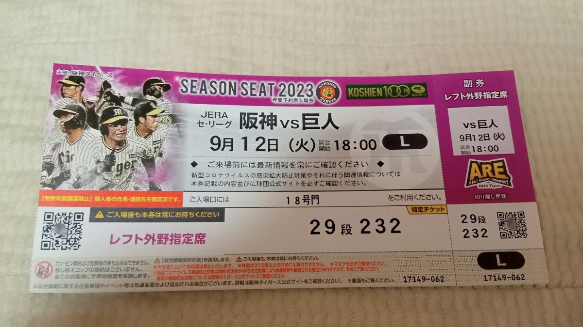 阪神vs巨人 ペア ライト 阪神 9月12日(火) ② 外野指定席 (通路