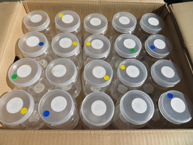 ◎　硬質クリアボトル800㏄　使用済み40本　おまけタイベストシール　送料安いです。NO5