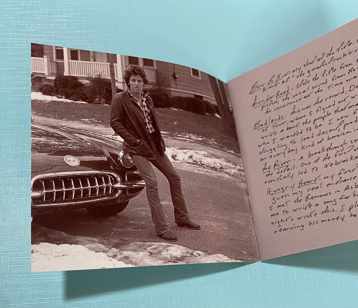 Springsteen Bruce Greatest Hits Music CD Vinyl ブルース