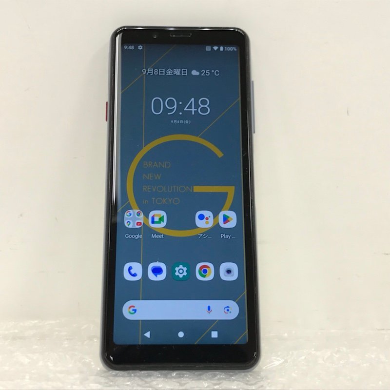 Pixel 6a Google Sage 128GB SIMフリー 新品未使用 0 GB