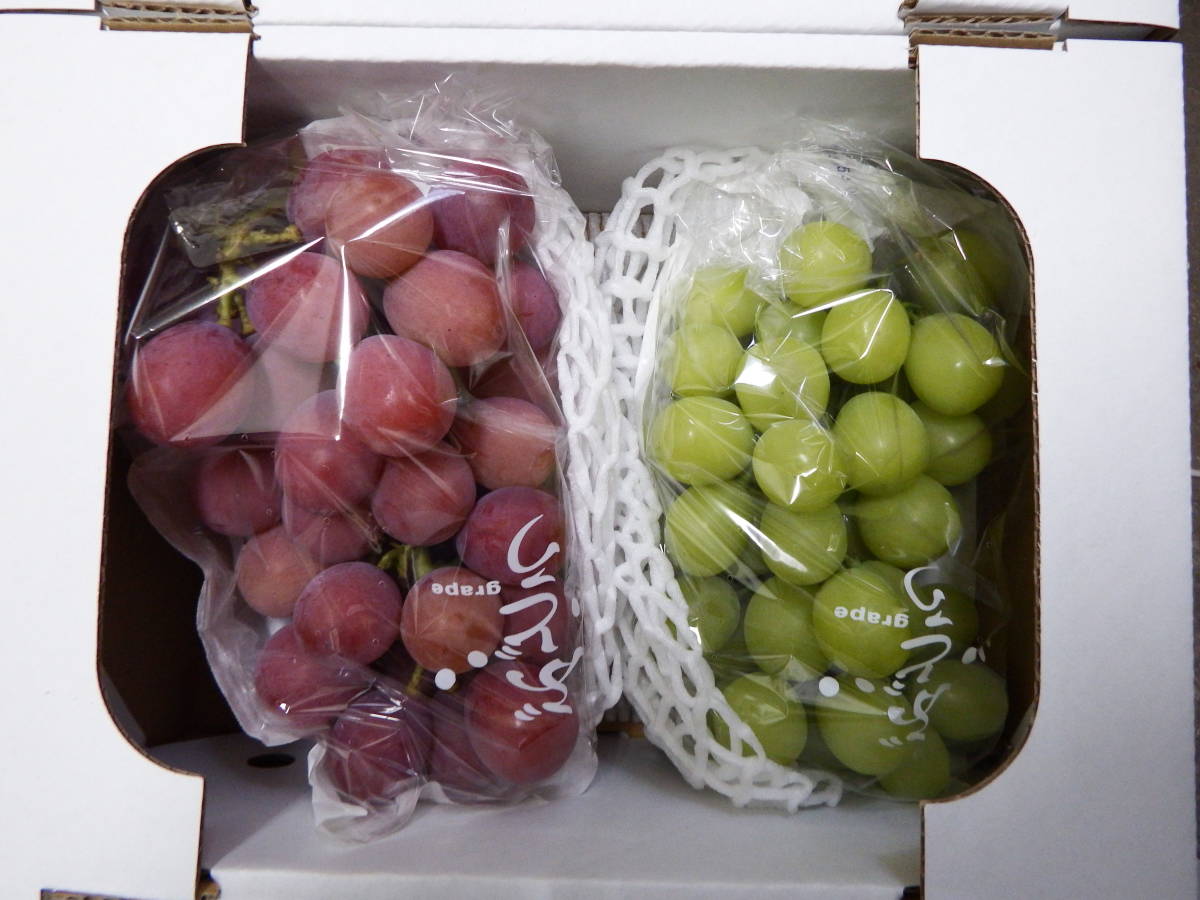 信州からの贈り物　人気葡萄２種特大房詰め合わせ　クイーニーナ１房シャインマスカット１房合計２房１４５０グラム