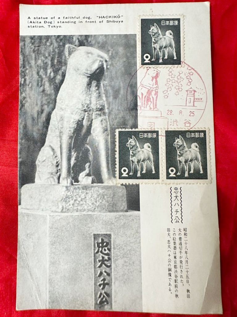 忠犬ハチ公 初日カバー 郵便はがき 郵便文化部発行s28.8.25 秋田犬普通