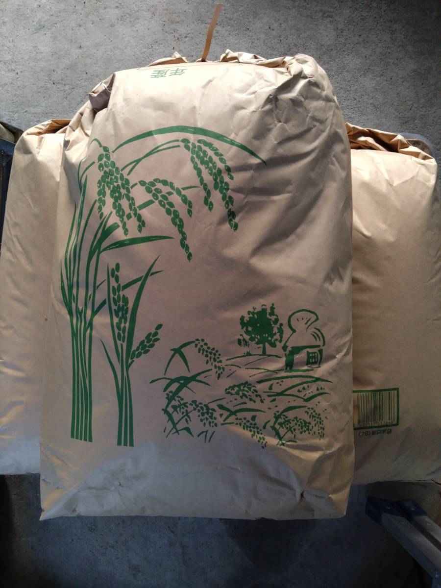 栃木産コシヒカリ 玄米30㎏ 令和4年度ー① 食品 令和4