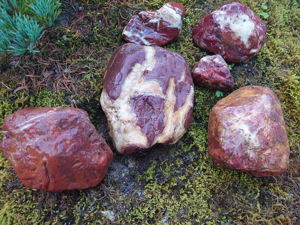 京都 赤石 紅加茂石6石 10，6kg 庭石 日本庭園 観賞石 盆石 水石 加茂七石 