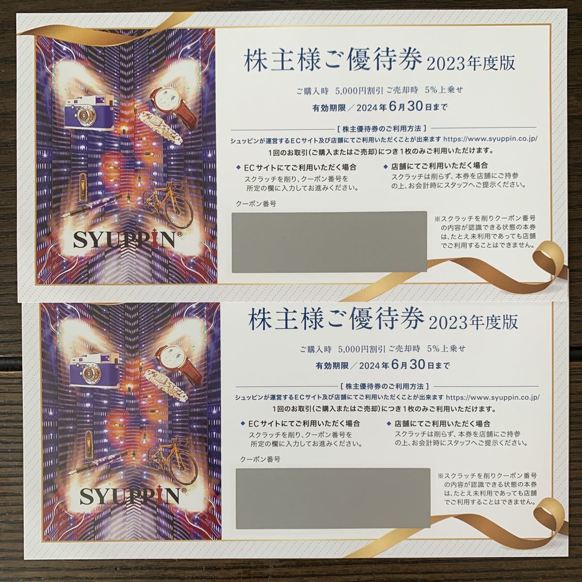 シュッピン 2枚 株主優待 株主優待券 公式通販 SYUPPIN コード通知専用