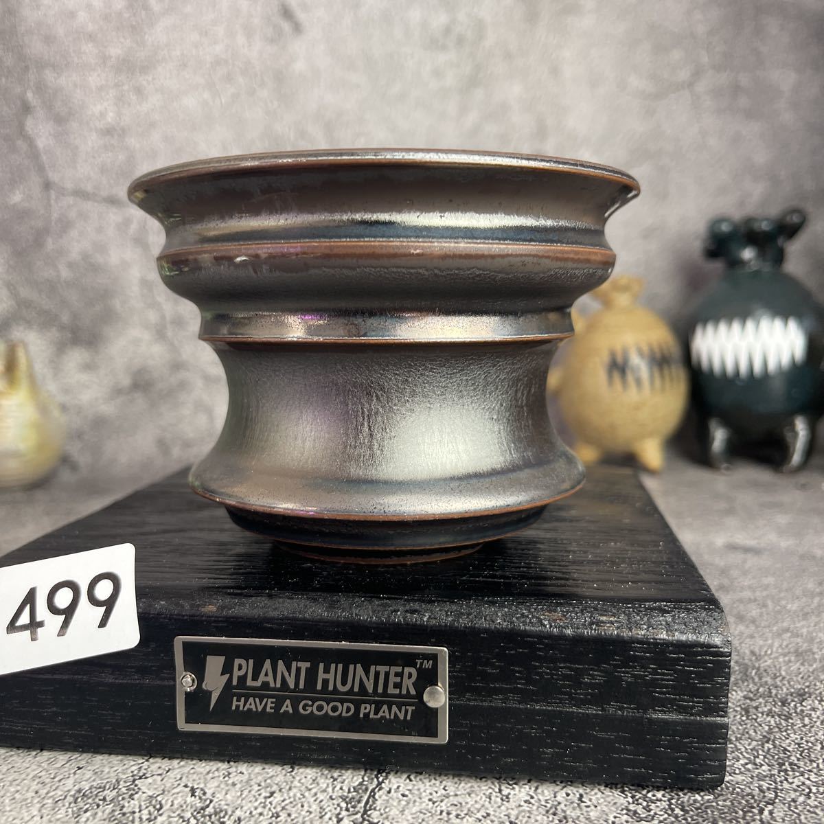 か499 Mサイズ 植木鉢 陶器 検（パキプス 亀甲竜 塊根植物 アガベ 多肉植物 SRL 信楽焼 伝市鉢カタチ製作所 グラキリス 韓国苗 恵比寿大黒)