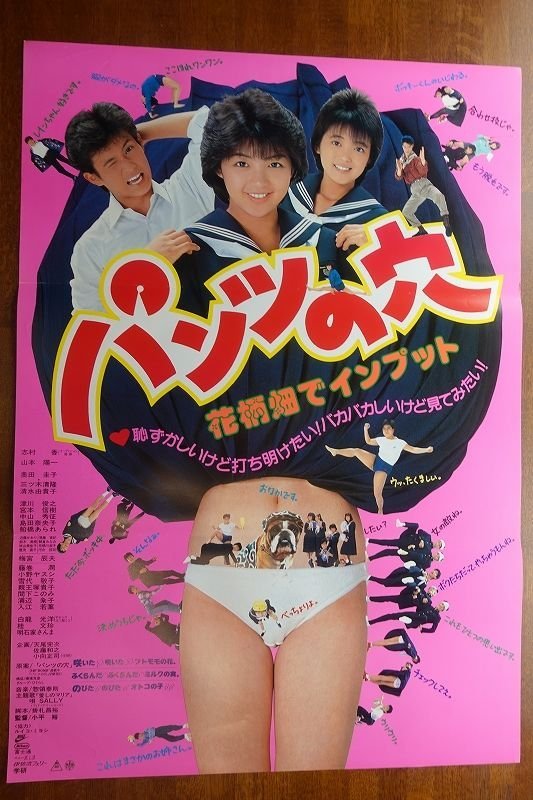 OE273 /国内B2判 映画ポスター パンツの穴 監督 鈴木 則文/榎本靖/松本