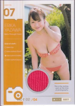 2013 ヒッツ/HIT'S 谷澤恵里香 4枚限定ピンスポビキニカード 07 Middle HOT