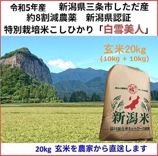 令和5年産新米 減農薬 新潟コシヒカリ玄米10kg+ミルキークイーン玄米