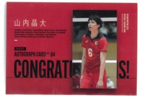 龍神NIPPON2022/山内晶大 直筆サインカードA04 #56/60 ◇男子バレー