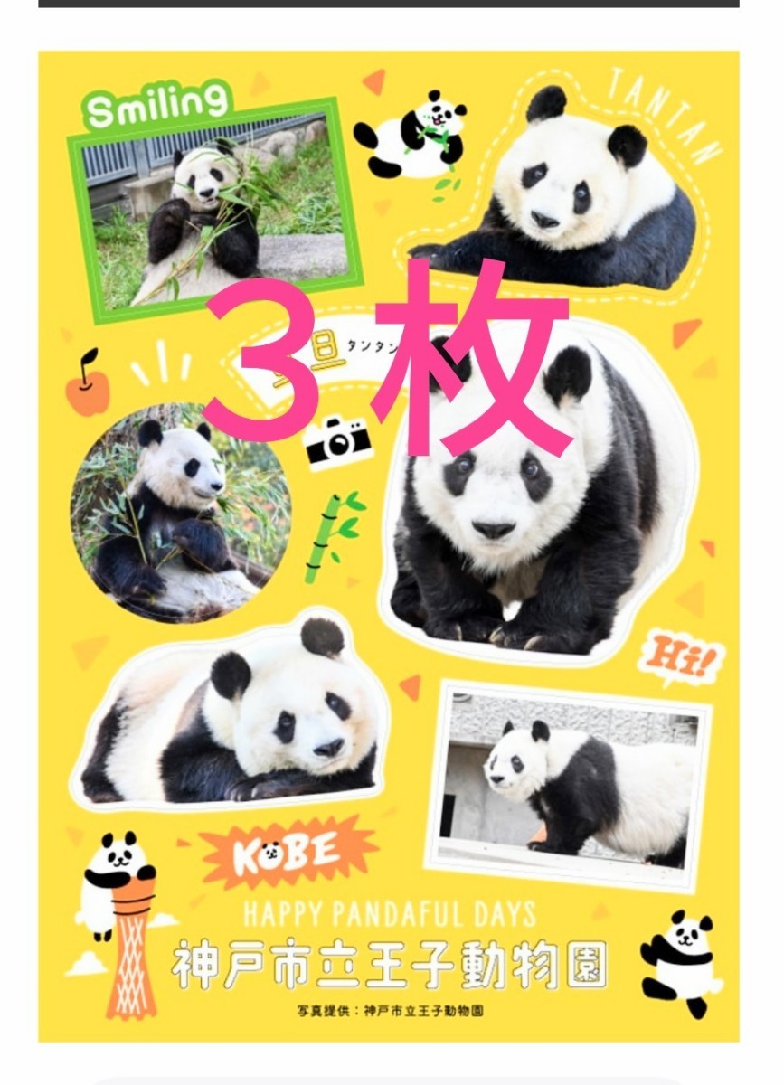 ３枚set　ジャイアントパンダ来日51周年記念ステッカー 『 王子動物園ver』 タンタン　