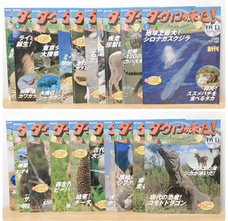 DVD 値下げ！NHKダーウィンが来た! 生きもの新伝説 DVDブック 1〜50巻