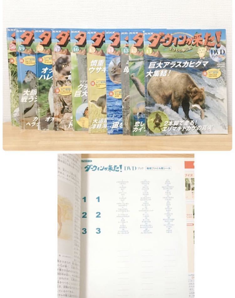 DVD 値下げ！NHKダーウィンが来た! 生きもの新伝説 DVDブック 1〜50巻