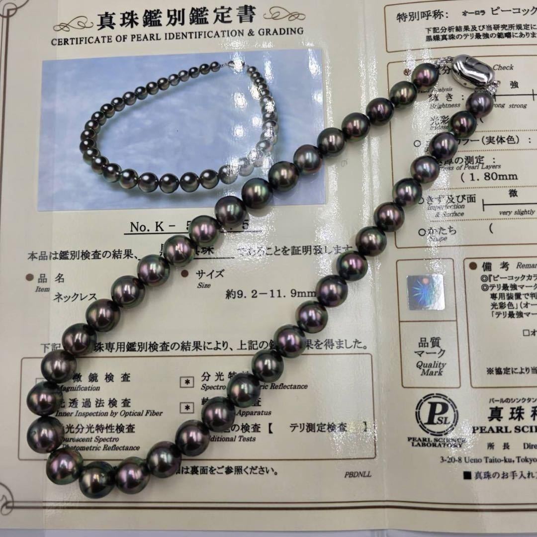 新品 黒蝶真珠 オーロラピーコック ネックレス SV テリ まき厚最強