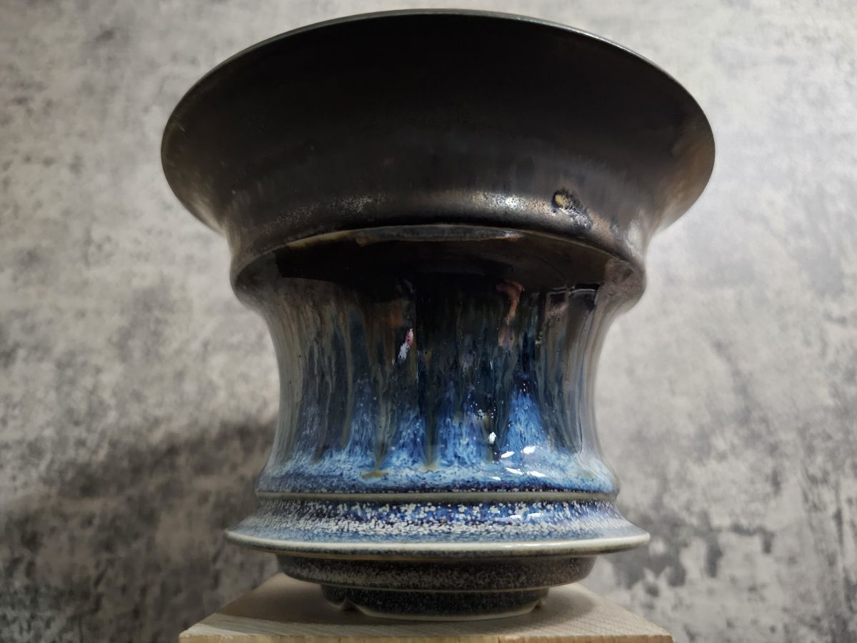 田中元将 大サイズ パキプス グラキリス 塊根植物 山中勇人 細川政己