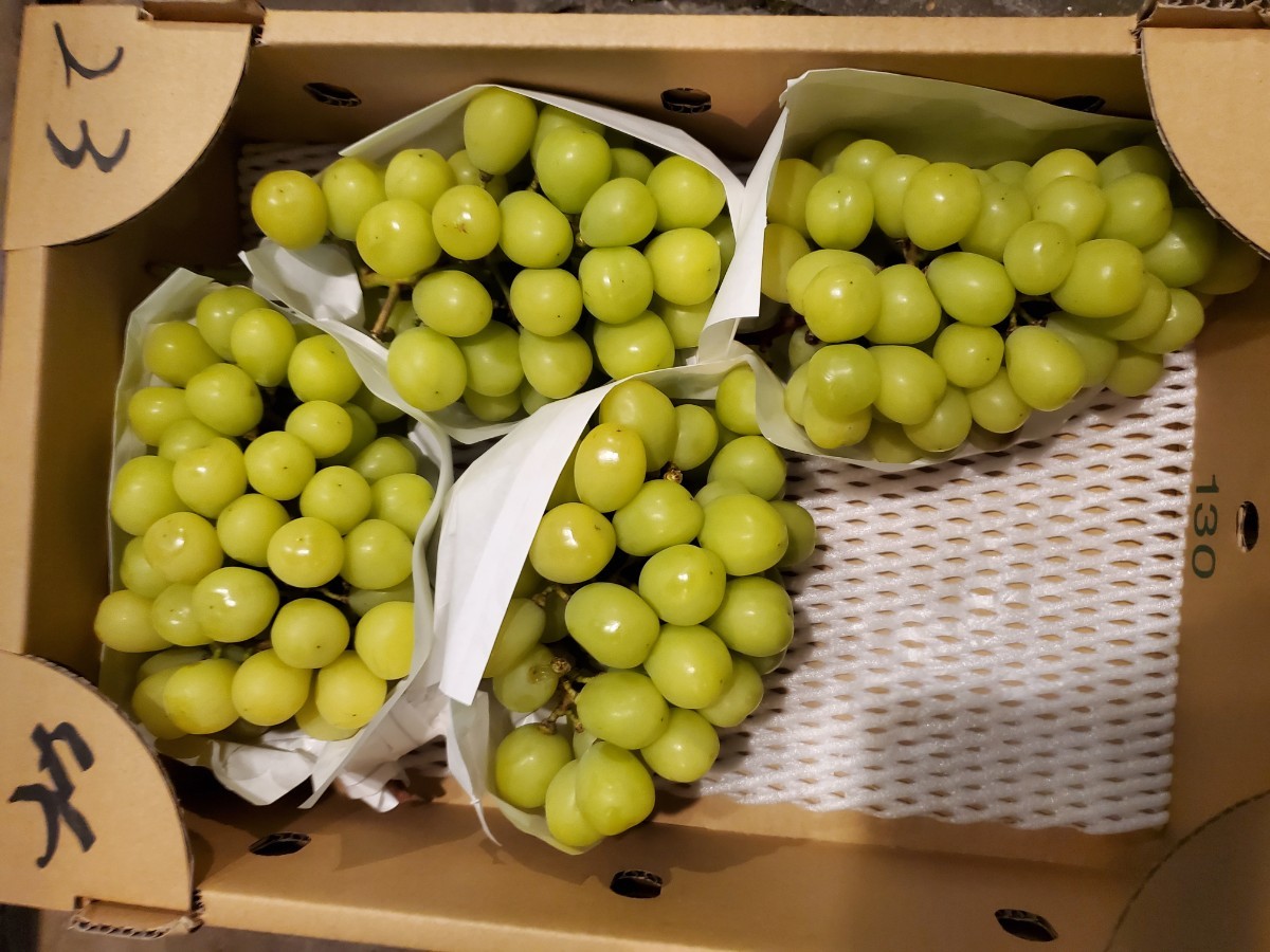 巨大シャインマスカット４房４キロ位一箱 ぶどう