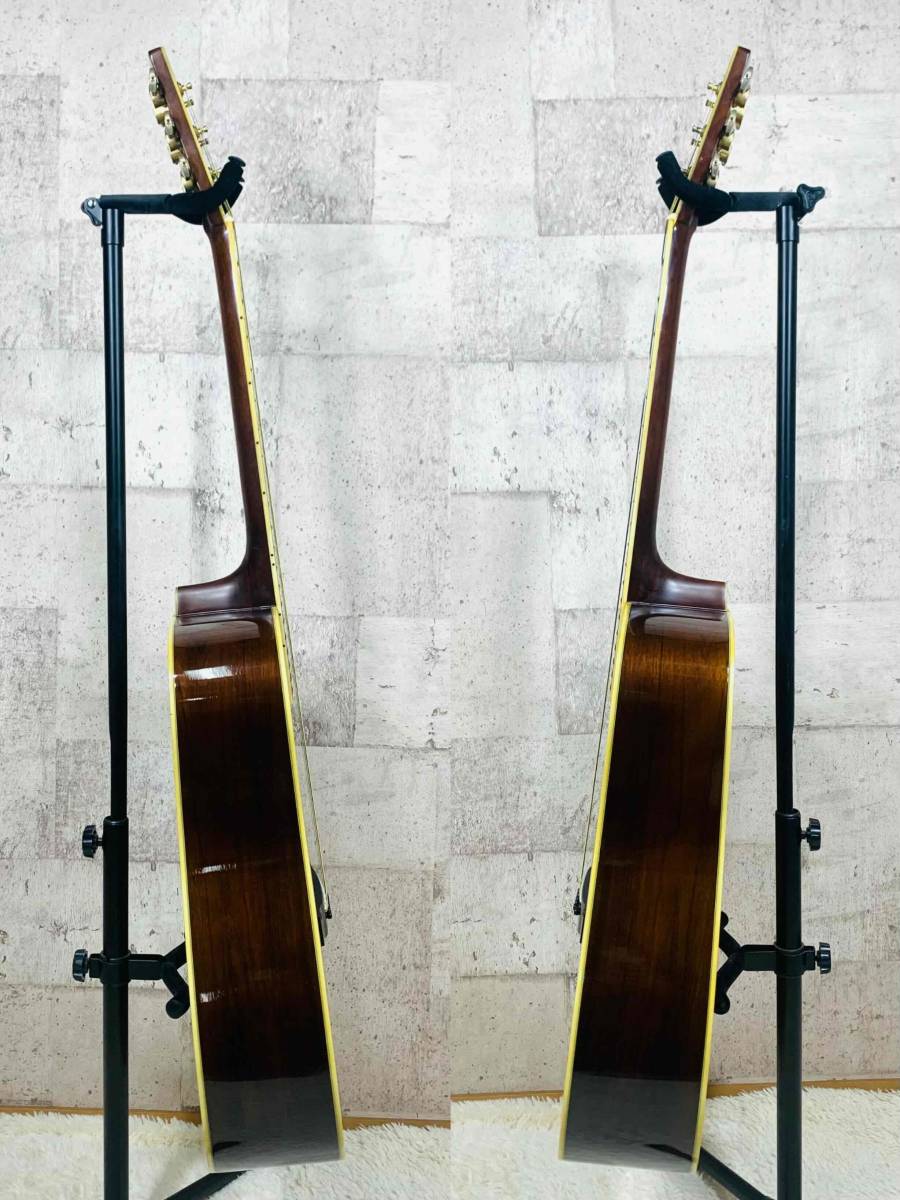 Morris 希少ハカランダ M-601 トップ単板 ジャパンヴィンテージ 超レア