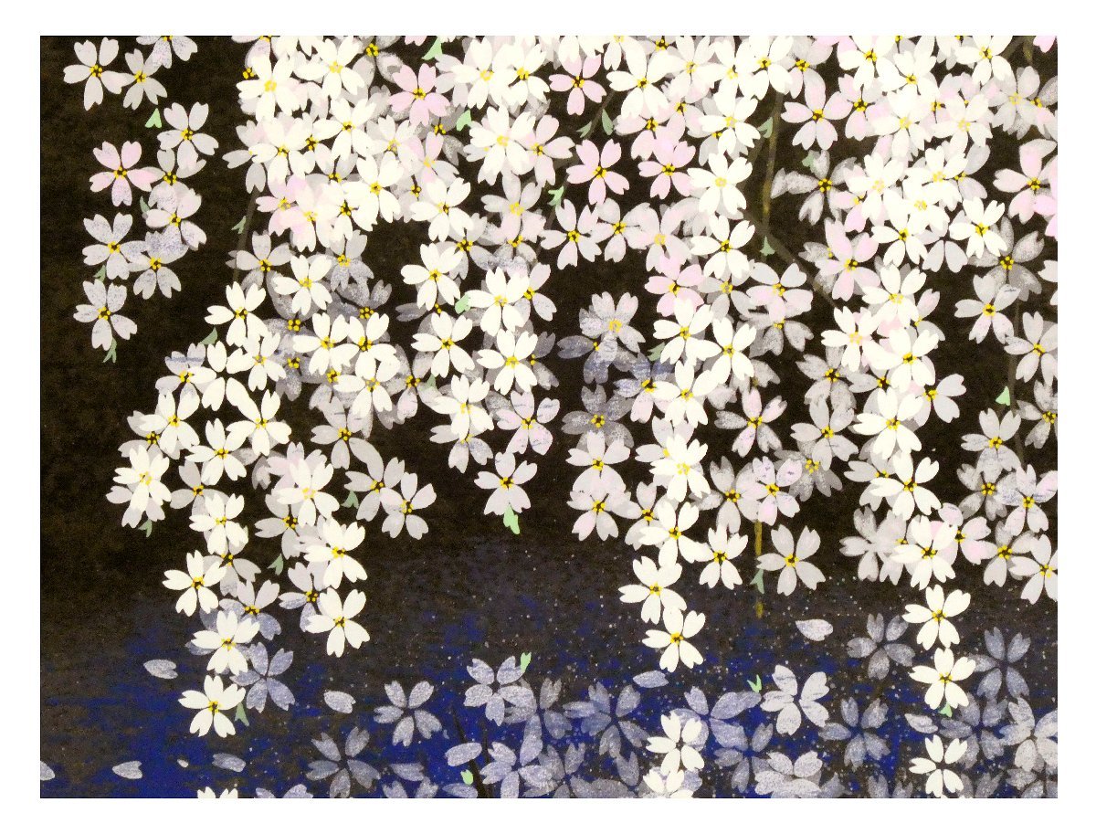 祥【真作】中島千波「桜花春映」シルクスクリーン10号大 限定200部
