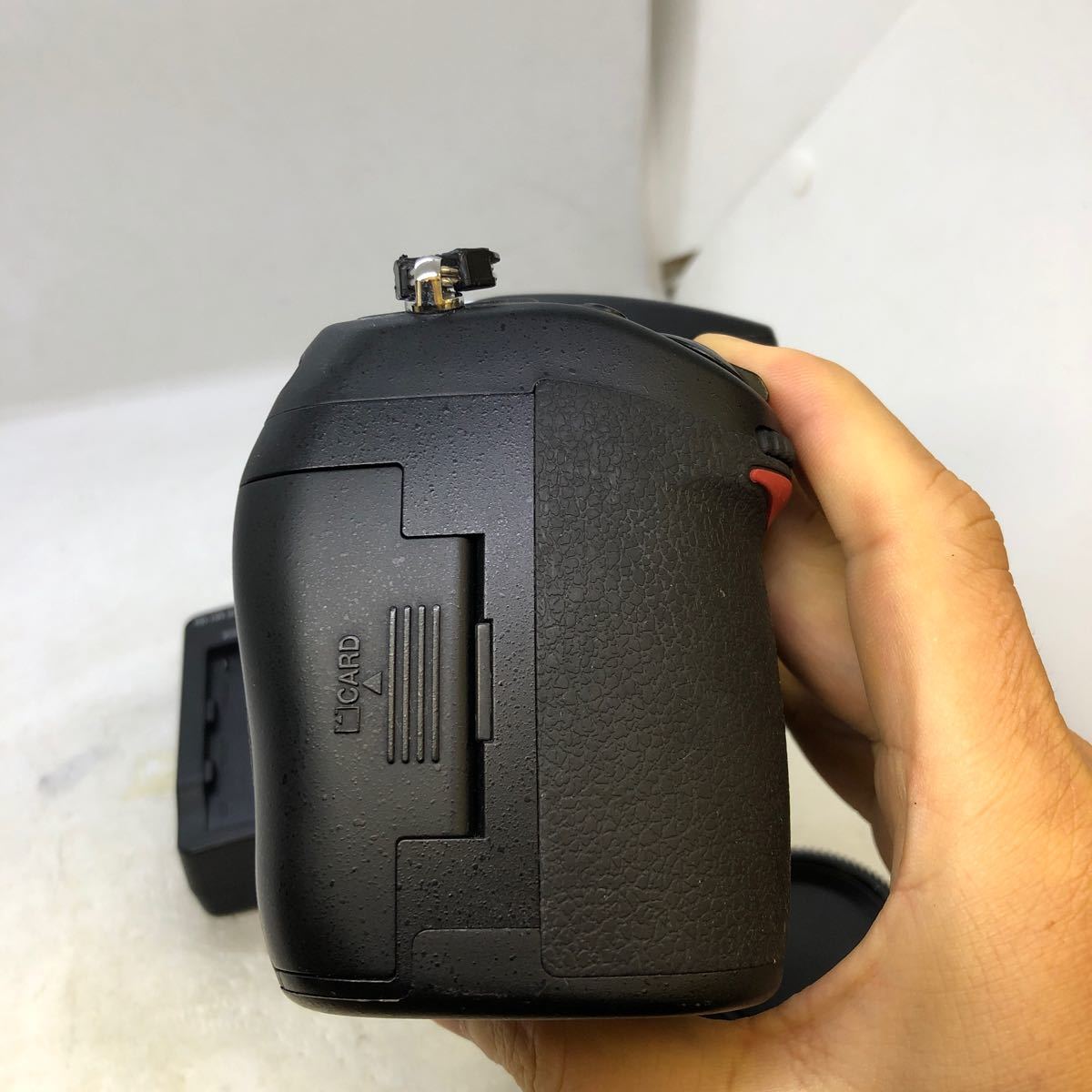 ボディ ニコン | Nikon Z7 - デジタル 公式通販 おまけ多数 Y059-2D3 