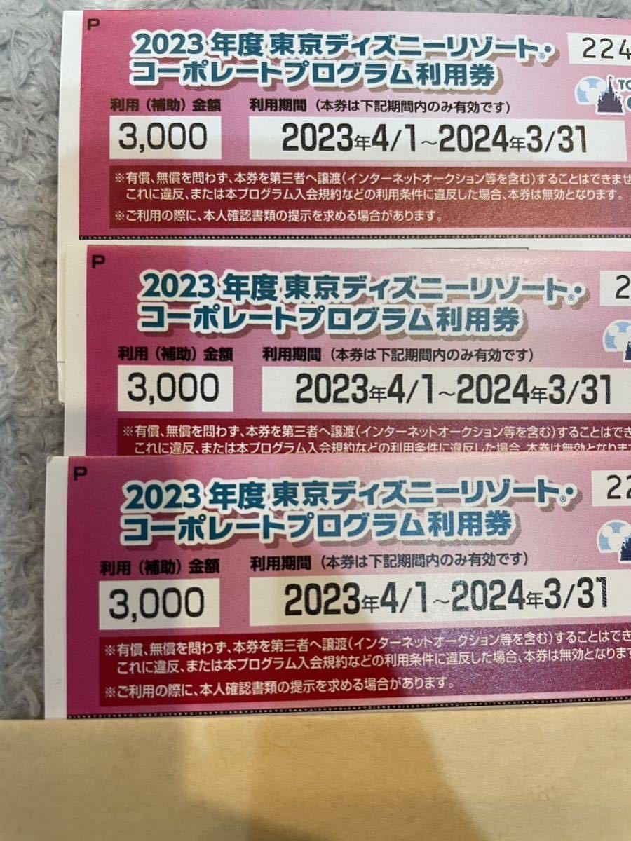 ディズニーリゾート割引券　コーポレートプログラム利用券