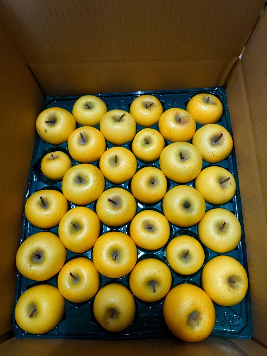 訳アリ小玉りんご58個入り　約10キロ