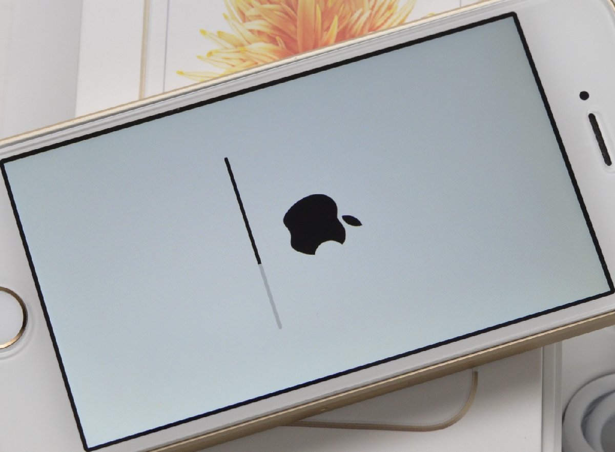 ∞ 1円～最短発送 送料無料 美品 SIMフリーiPhone SE（第1世代）32GB