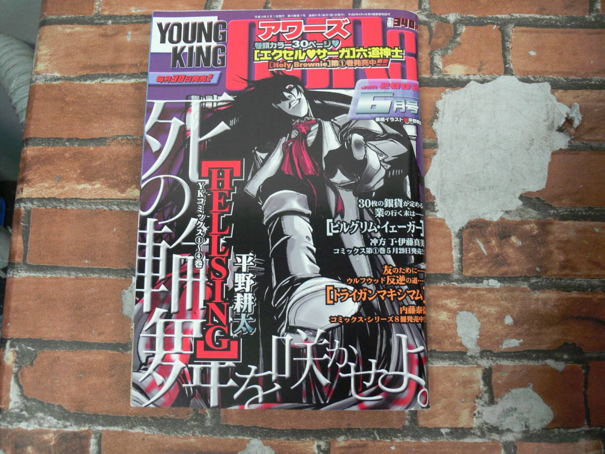 ヤングキングアワーズ 2002年6月号 ヤングキングアワーズ 2002年6月号