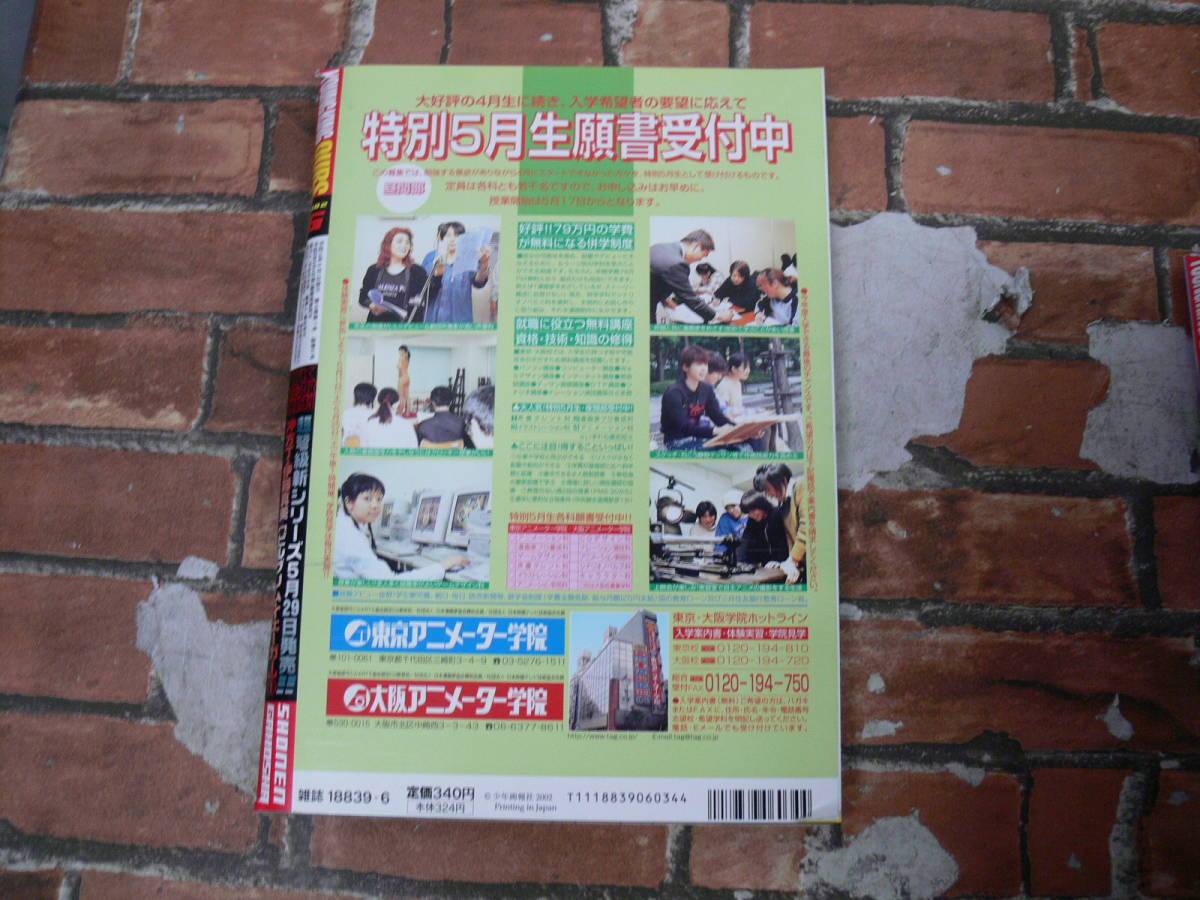 ヤングキングアワーズ 2002年6月号 ヤングキングアワーズ 2002年6月号