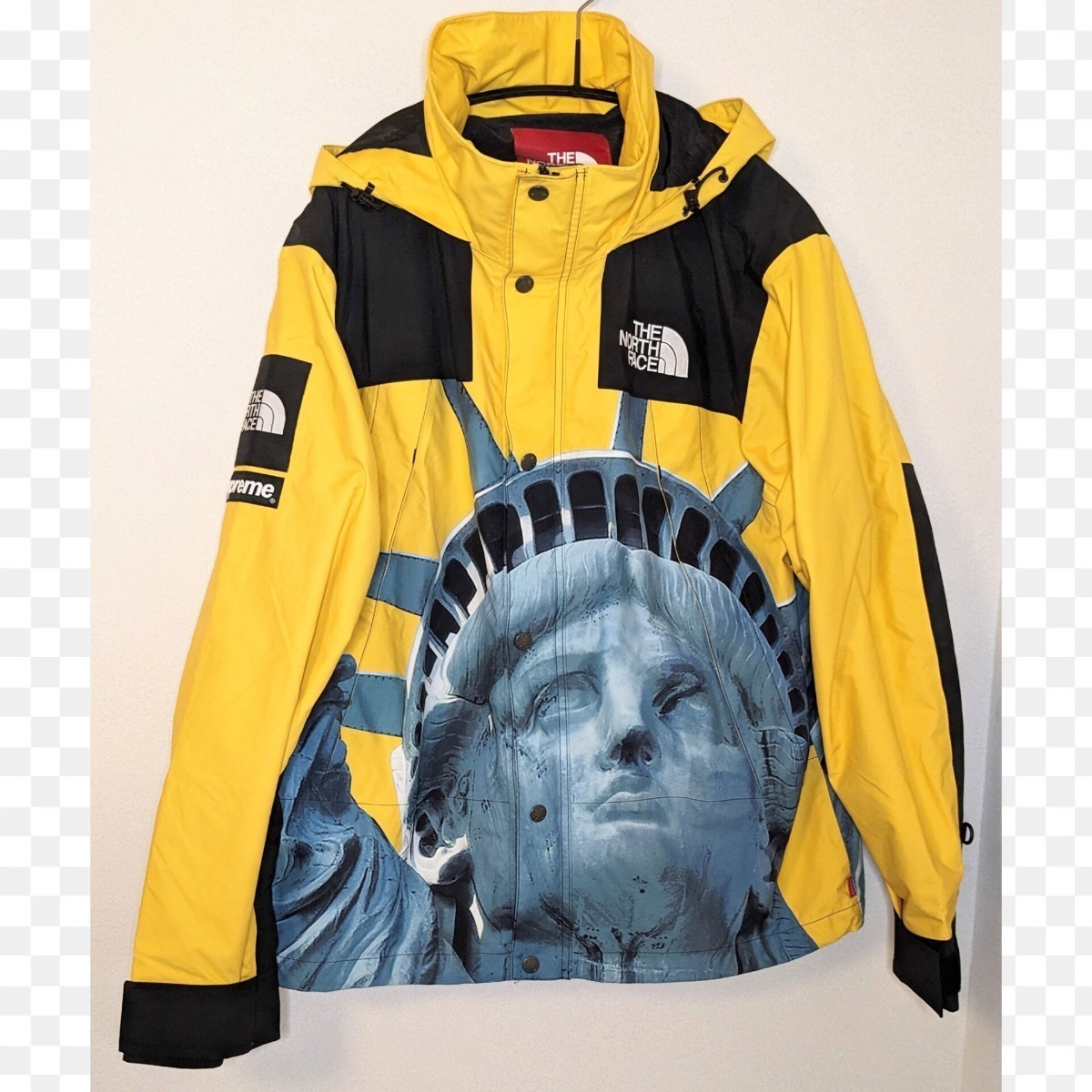 ◇Supreme The North Face スタチュー リバティ マウンテン ジャケット 