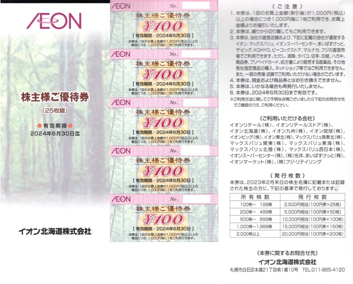 イオン北海道 青臭 株主優待券 20000円分