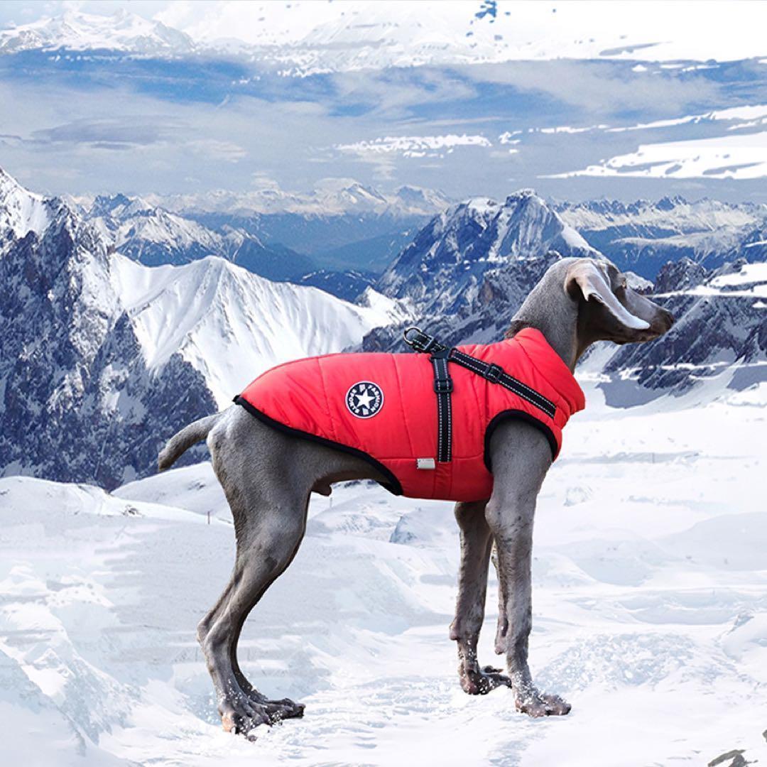 《新品》M　赤　犬用　ダウン　ハーネス付き　裏起毛　ペットウェア　防寒着_5