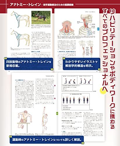 アナトミー・トレイン 第4版 Web動画付 徒手運動療法のための筋膜経線