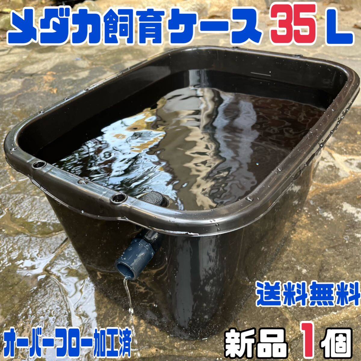 ☆メダカ飼育ケース1個 黒35Lオーバーフロー加工済☆ メダカ飼育容器