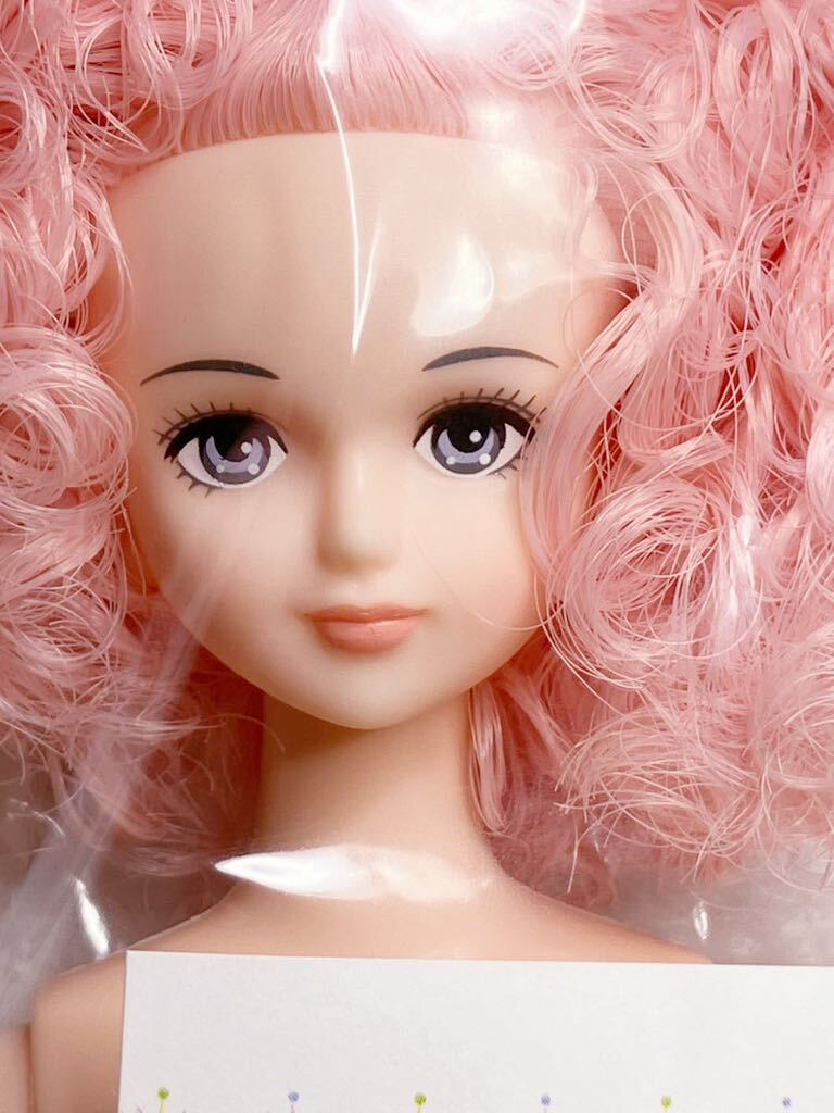 ☆リカちゃんキャッスル☆ ジェニーフレンド ☆ シオン ☆ おたのしみ