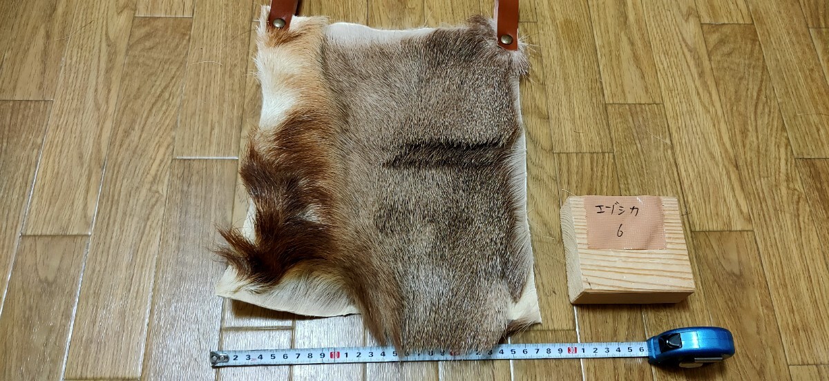 ○マタギ○エゾシカの尻皮（6） 蝦夷鹿 エゾジカ 蝦夷シカ 尻当て 尻