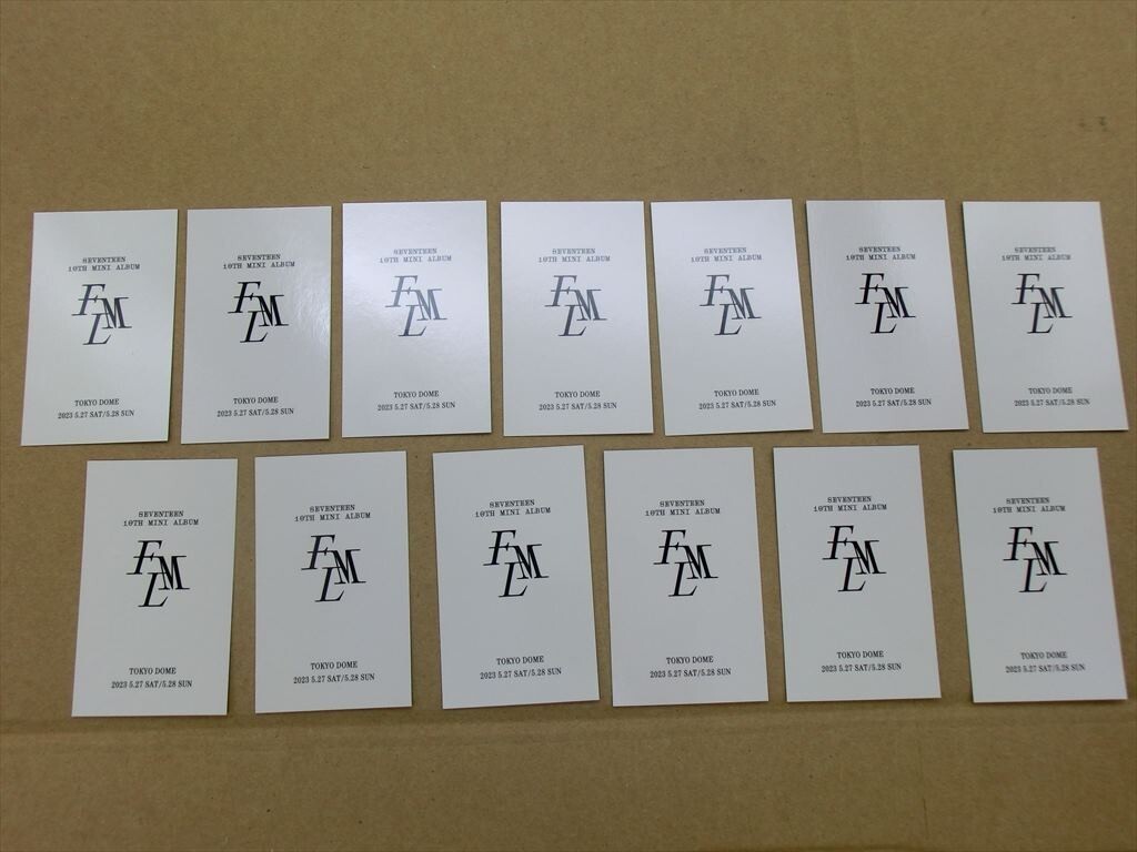 T【4ち-25】【送料無料】セブチ seventeen ファンミLOVE東京限定