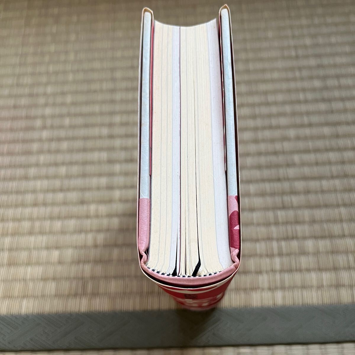 美本　帯付き　初版ハードカバー●京極夏彦 南極(人) 単行本 _3