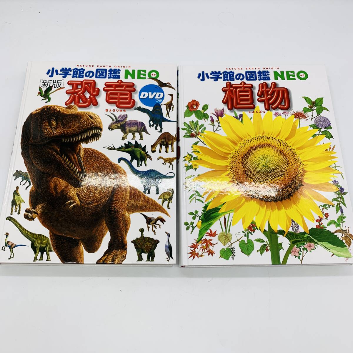 本 学研の図鑑LIVE 小学館の図鑑NEO まとめ売り 11冊