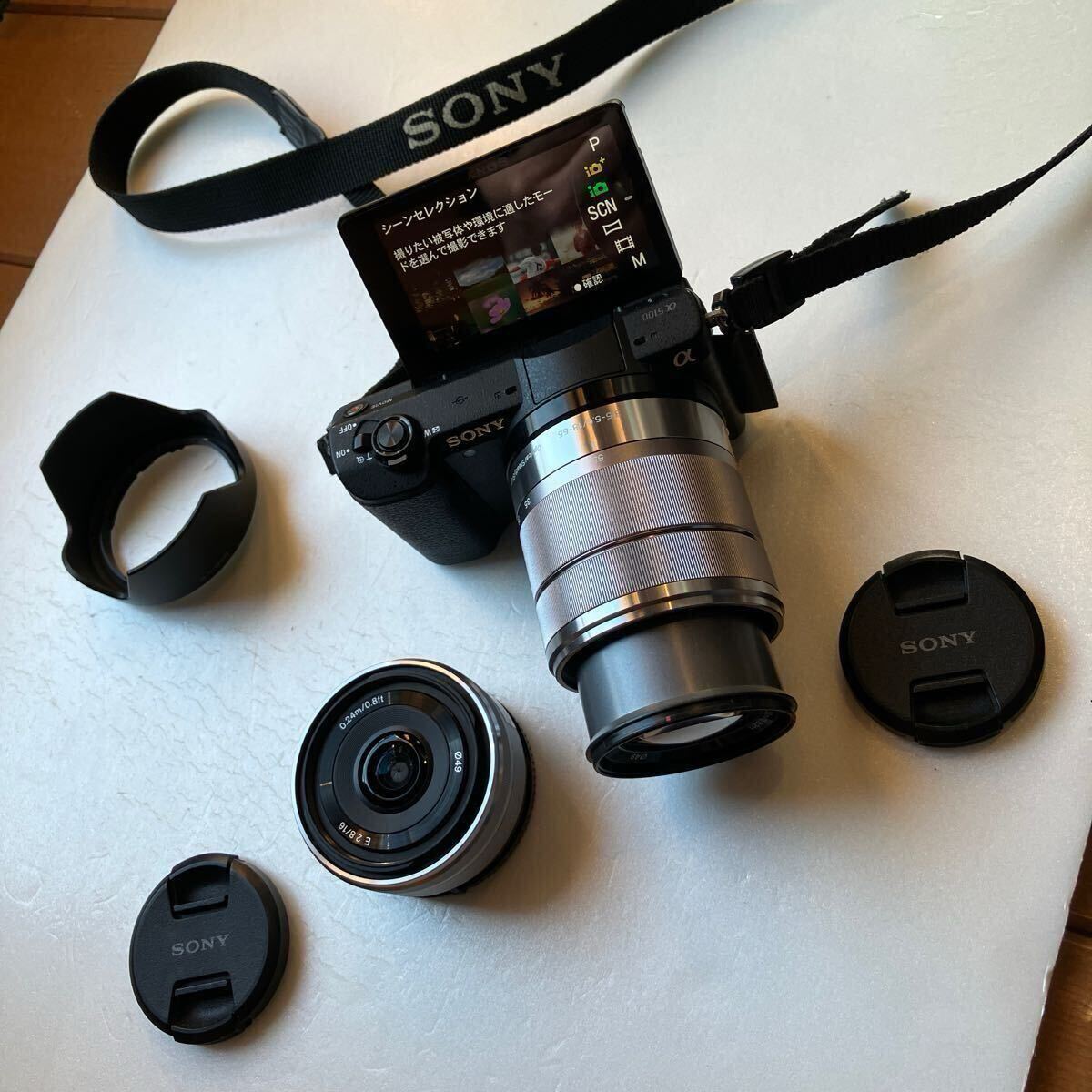 SONY ミラーレス一眼 α5100 | ソニー カメラ ダブルズーム SONY(ソニー 