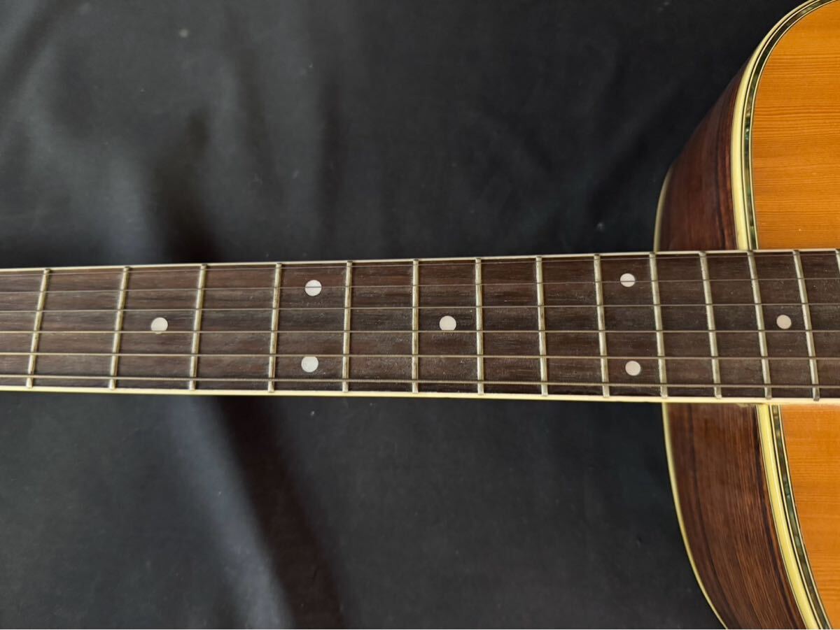 Morris W-30 モーリス アコースティックギター アコースティック 