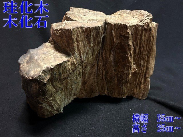 ◇希少【大型 珪化木/けいかぼく 炭化石 木化石/もっかせき 木石 鑑賞