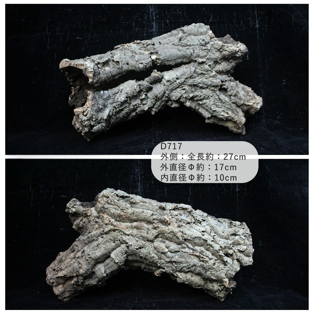 D717【ポルトガル産】 コルク樹皮 キャノン コルク バージンコルク