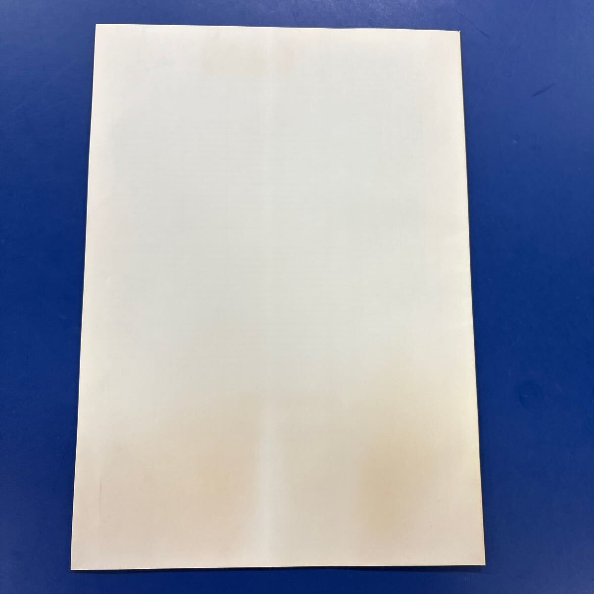 【オリジナル品】TAITO KANARY 取説 タイトー カナリー カタログ_2