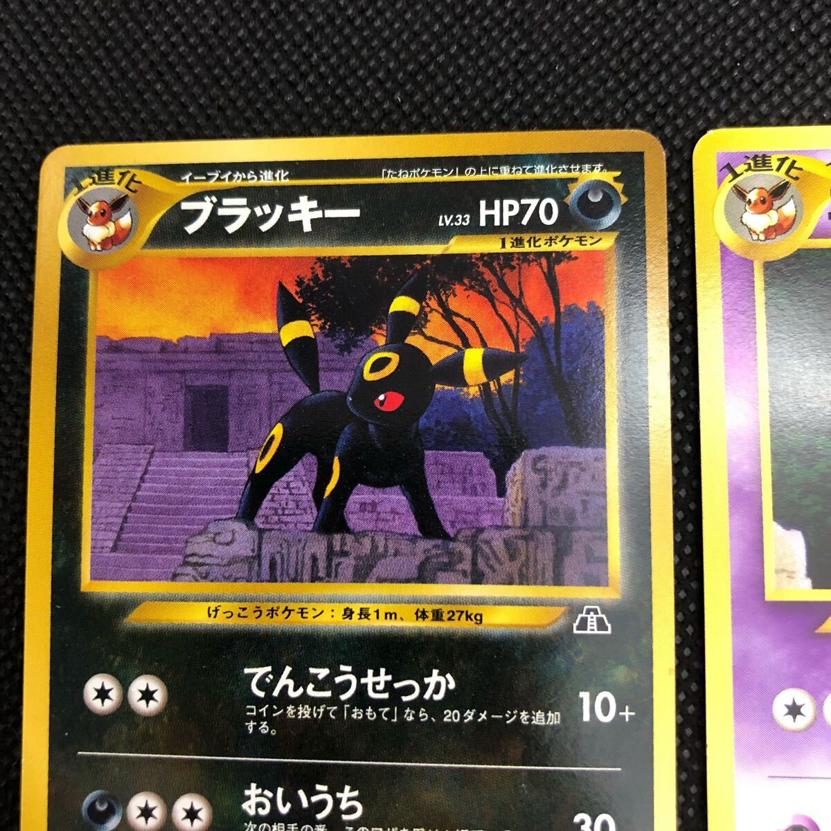 ポケモンカード 旧裏 旧裏面 Neo イーブイ エーフィ ブラッキー セット