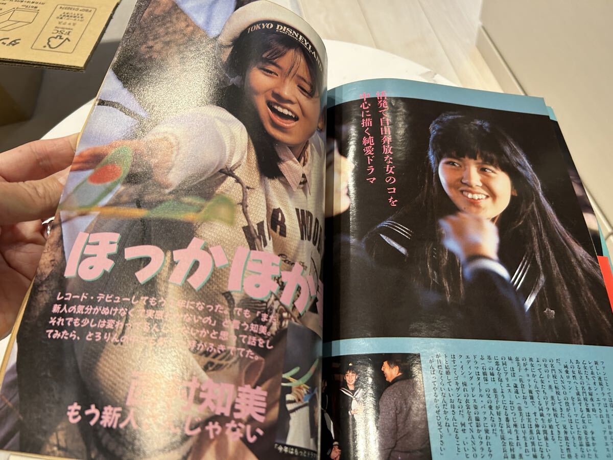 近代映画 1987年5月 中山美穂 菊池桃子 本田美奈子 石川秀美 南野陽子