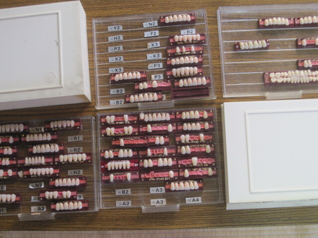 歯科用　人工歯　未使用端数品_1