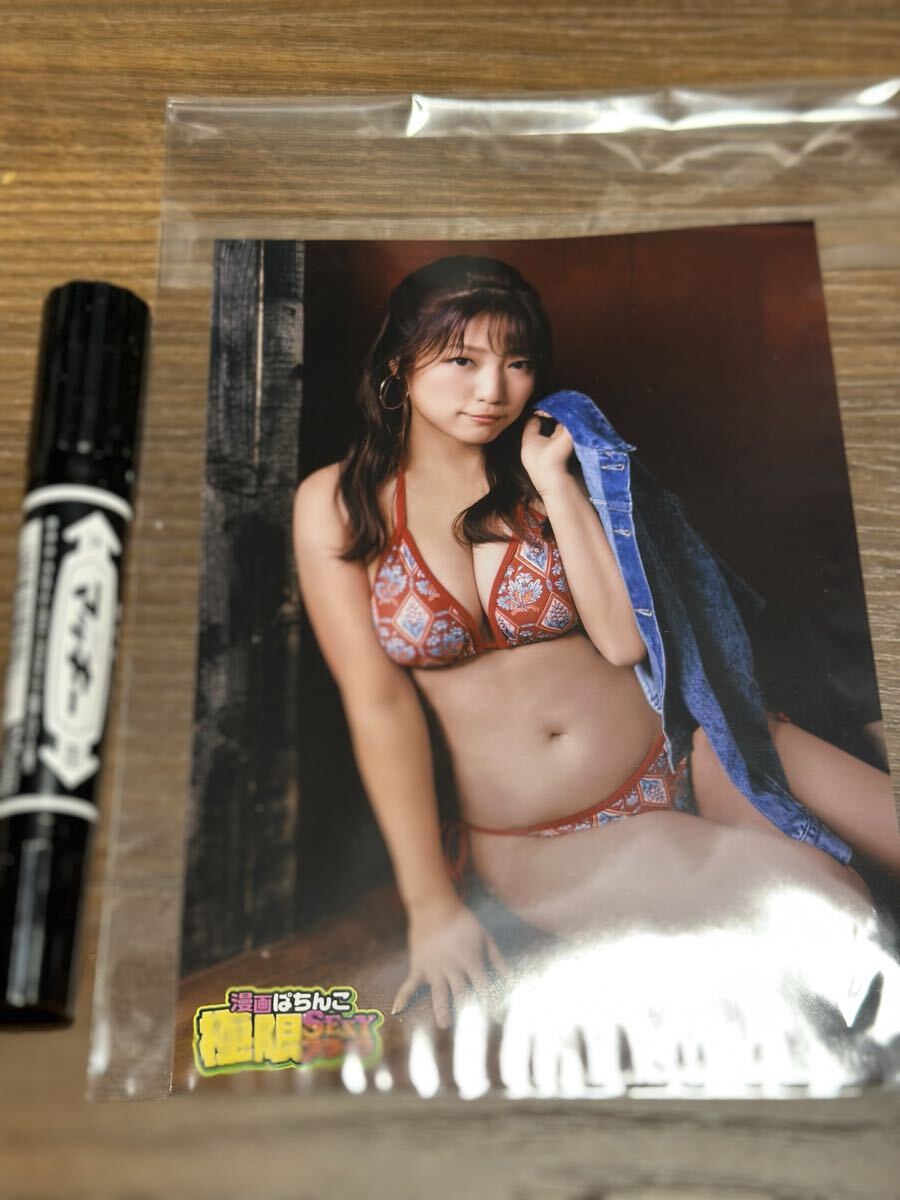 限定ブロマイド 河原みのり、河原実乃梨、松岡奈波 グラビア ライター 