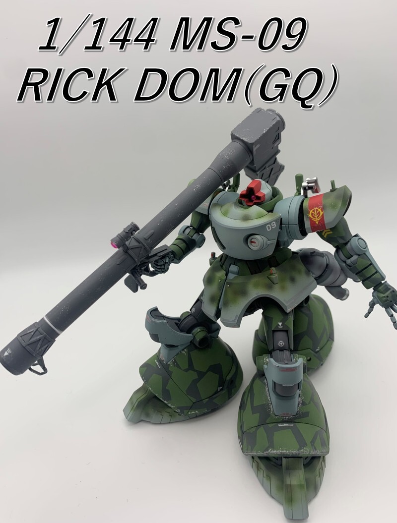 HG リックドム(GQ) 独空軍迷彩カラー 改造改修 全塗装 ガンプラ完成品