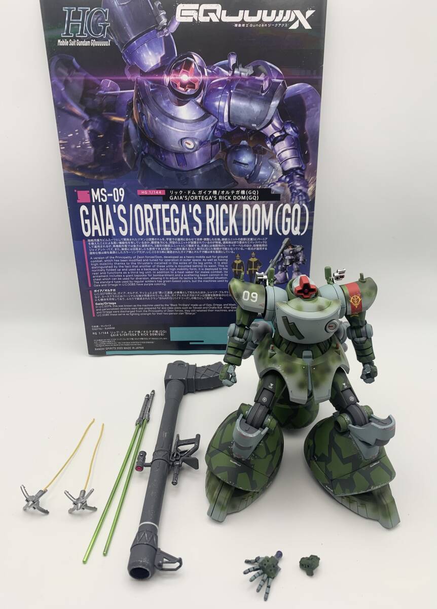 HG リックドム(GQ) 独空軍迷彩カラー 改造改修 全塗装 ガンプラ完成品